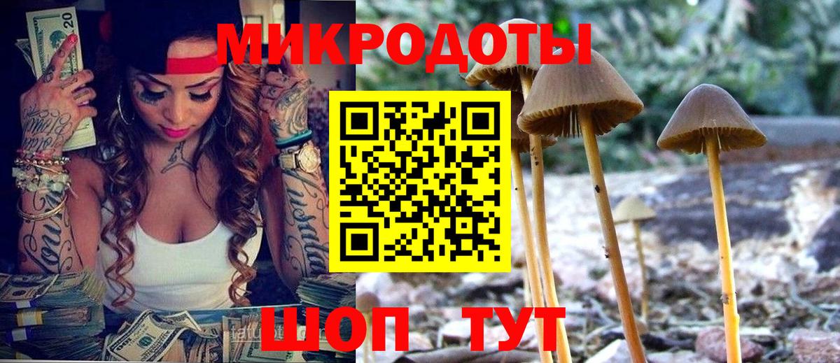 Галлюциногенные грибы Psilocybine cubensis  Галлюциногенные грибы ЛСД  Камышлов  Вход с VPN 