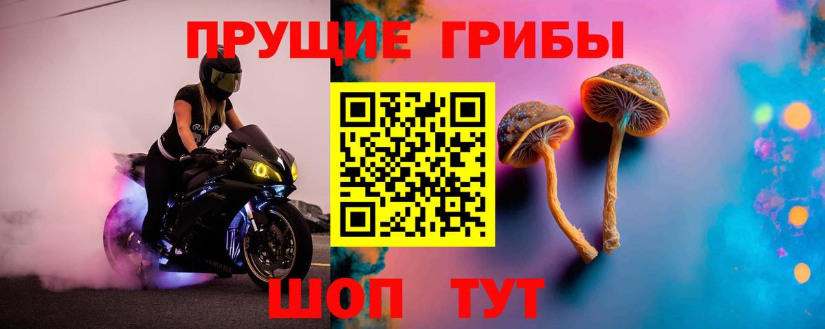 Галлюциногенные грибы мухоморы Камышлов